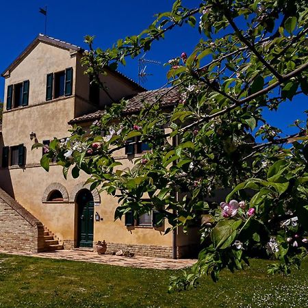 Bed and Breakfast I Ciliegi Osimo Exterior foto