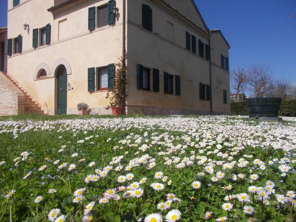 Bed and Breakfast I Ciliegi Osimo Exterior foto