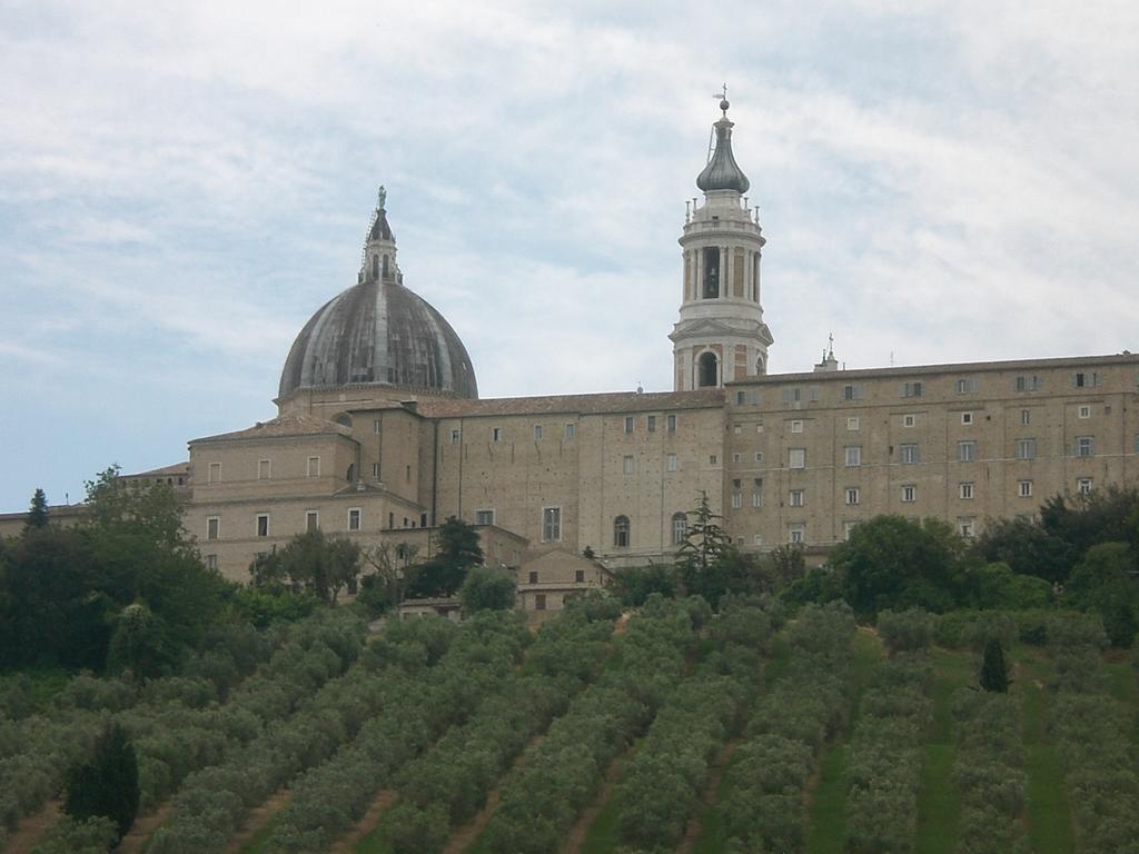 Bed and Breakfast I Ciliegi Osimo Exterior foto