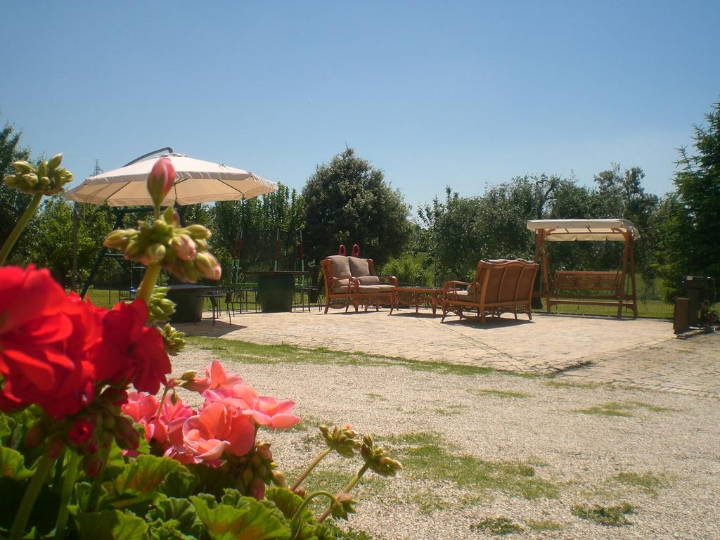 Bed and Breakfast I Ciliegi Osimo Exterior foto