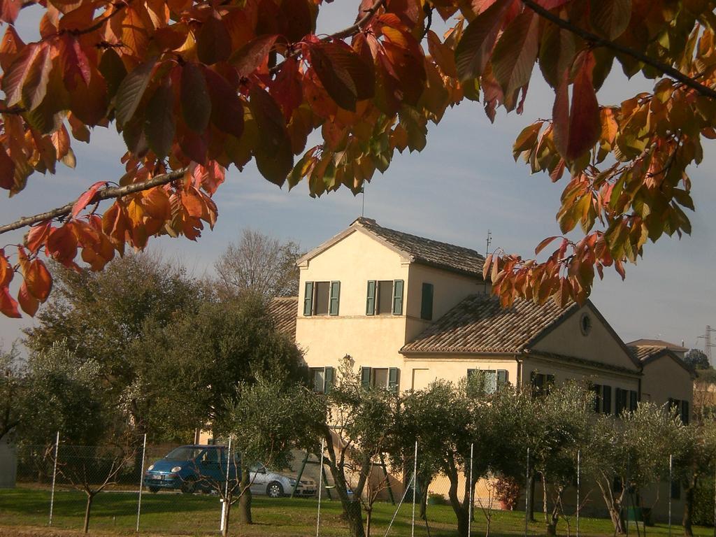 Bed and Breakfast I Ciliegi Osimo Exterior foto