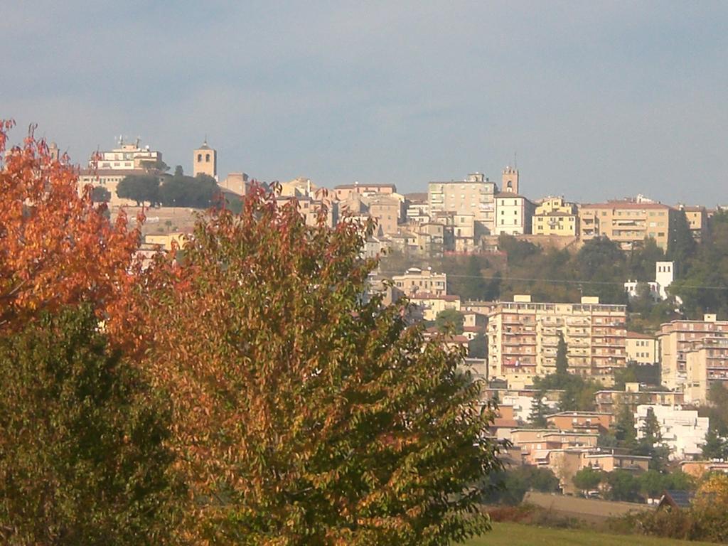 Bed and Breakfast I Ciliegi Osimo Exterior foto