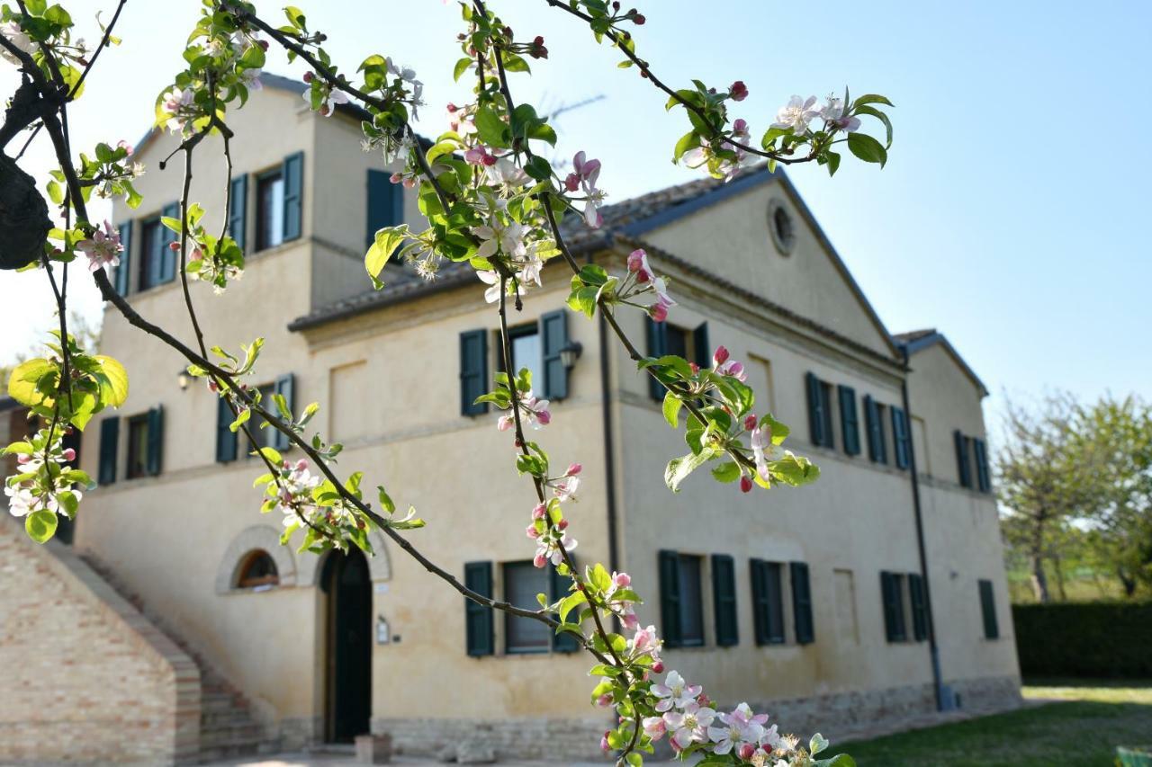 Bed and Breakfast I Ciliegi Osimo Exterior foto